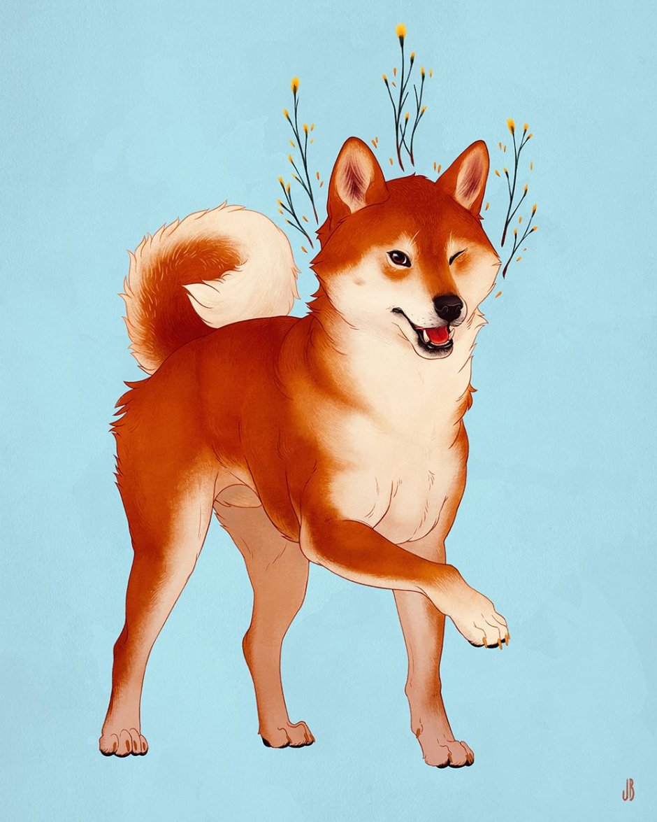 Порода басенджи