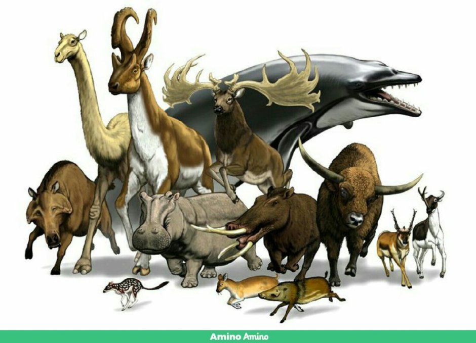 Индрикотерий Ледниковый период