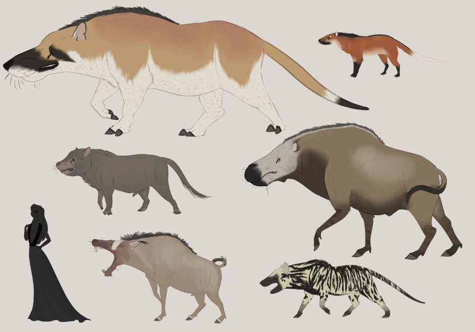 Эндрюсарх Эволюция