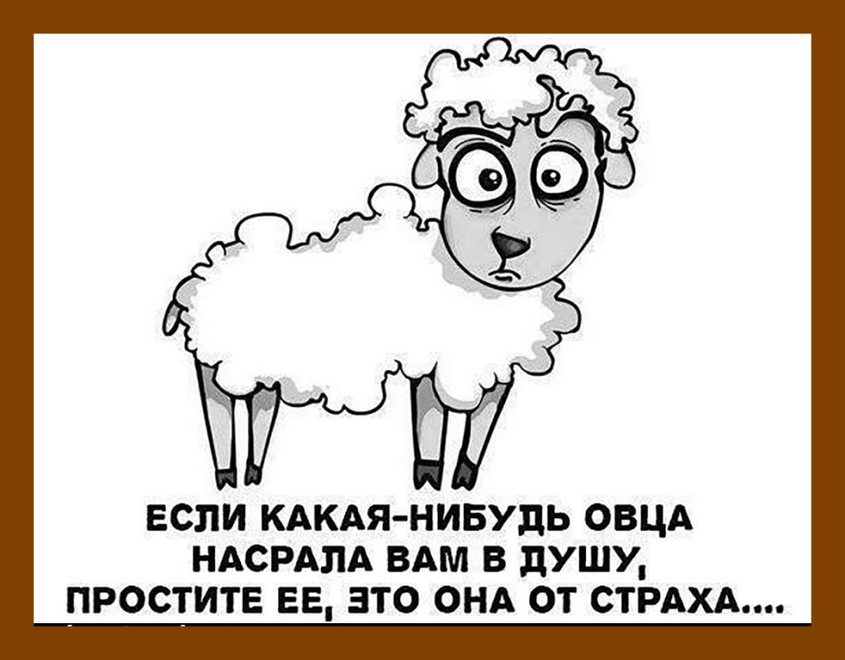 Загадка у барана спереди у араба