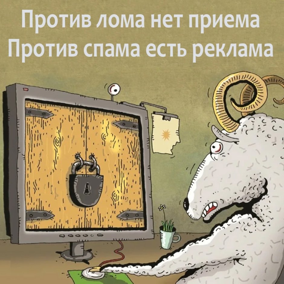 Овца юмор