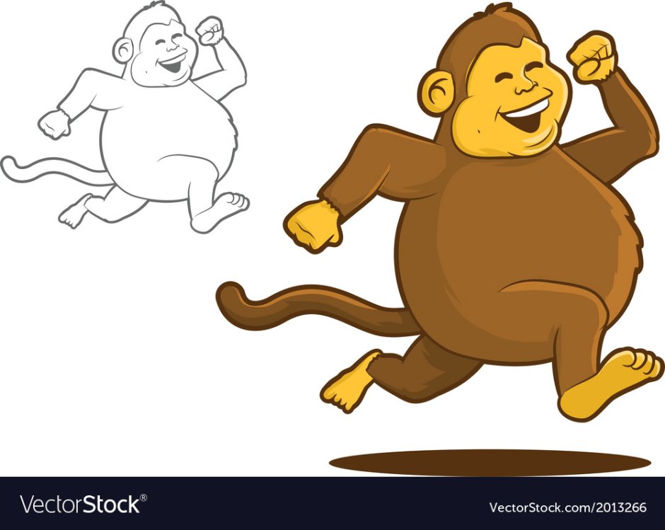 Макака спит