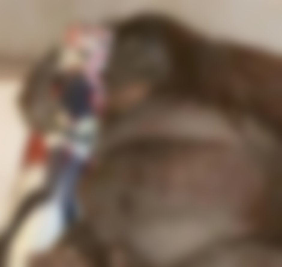 Макака сирапука