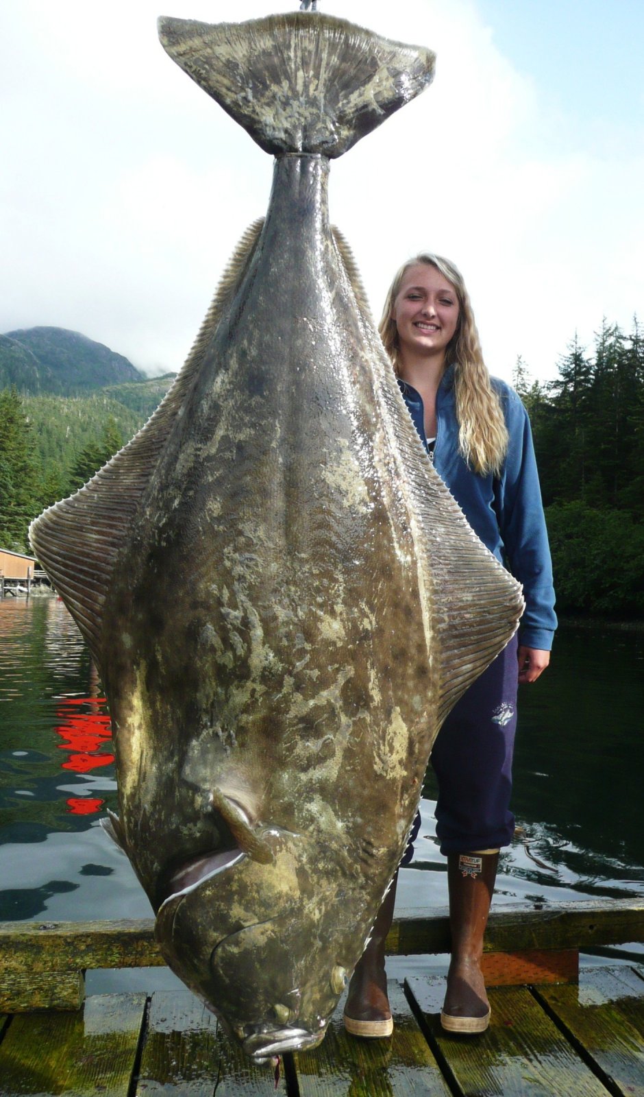 Flounder рыба камбала