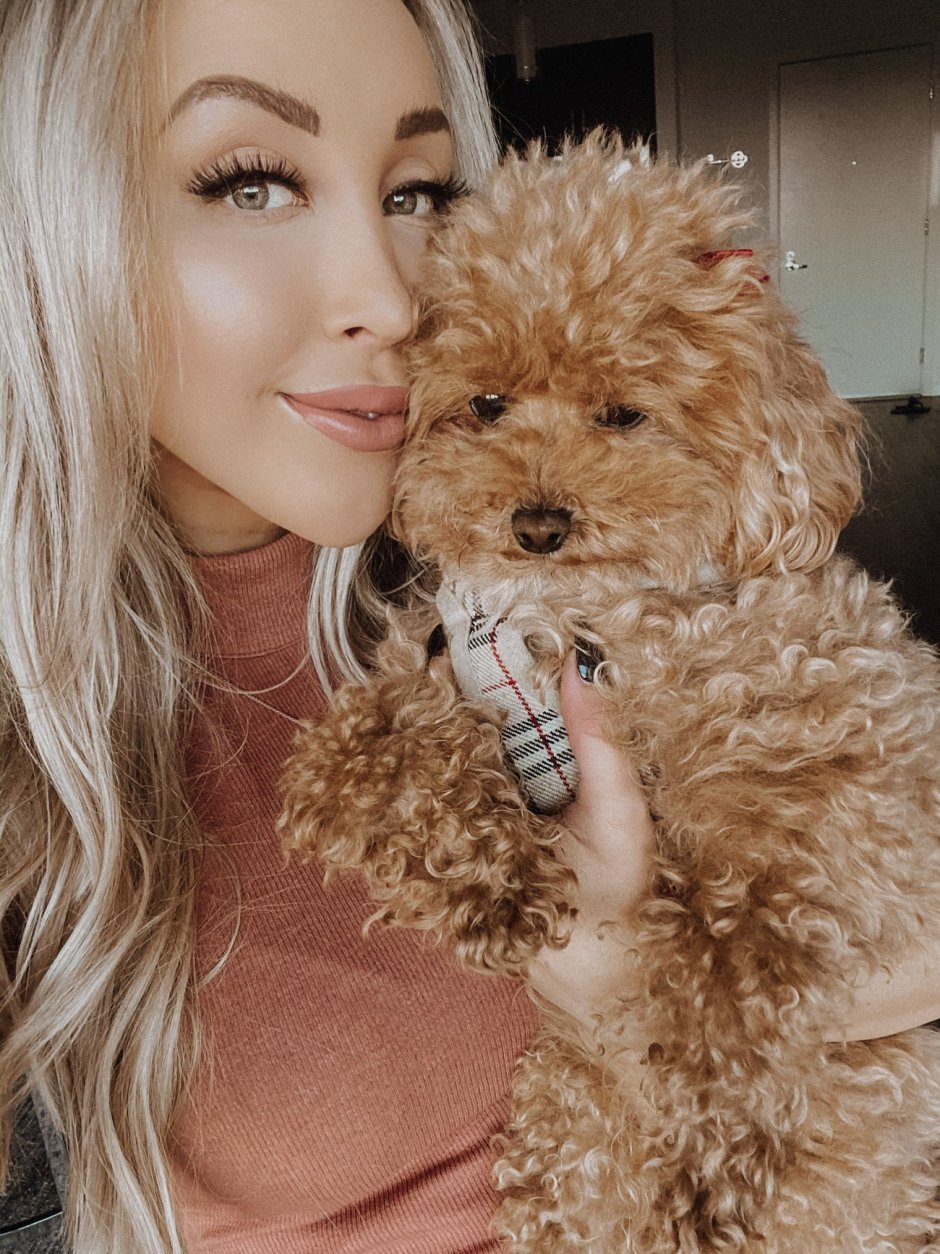 Мальтипу Миша Жидковский