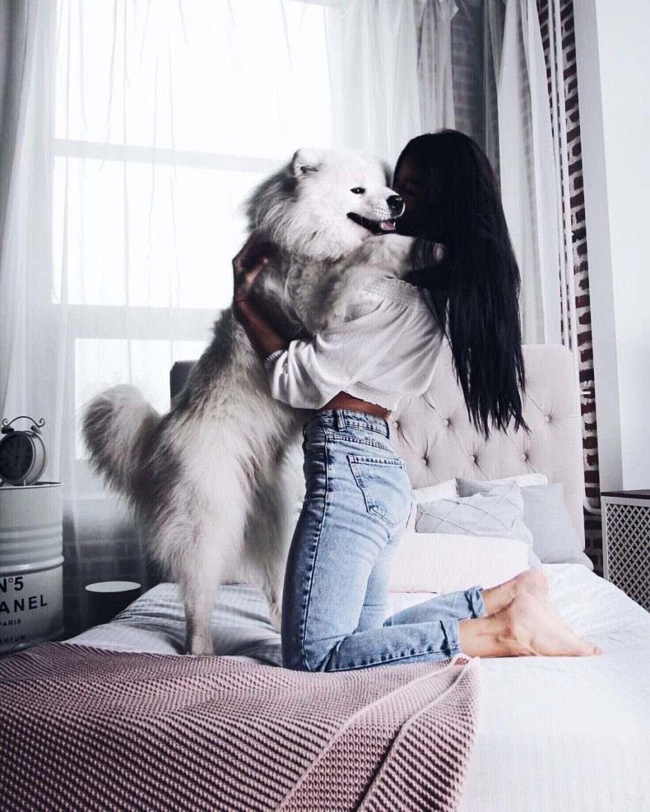 Собака улыбака