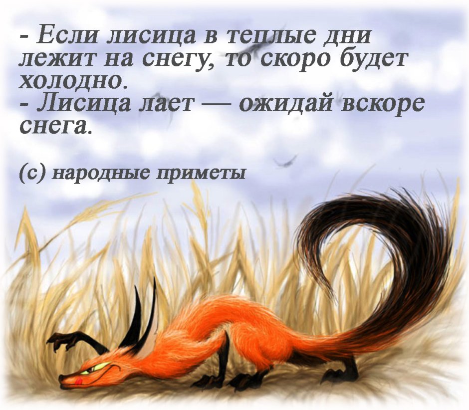 Крадущаяся лиса