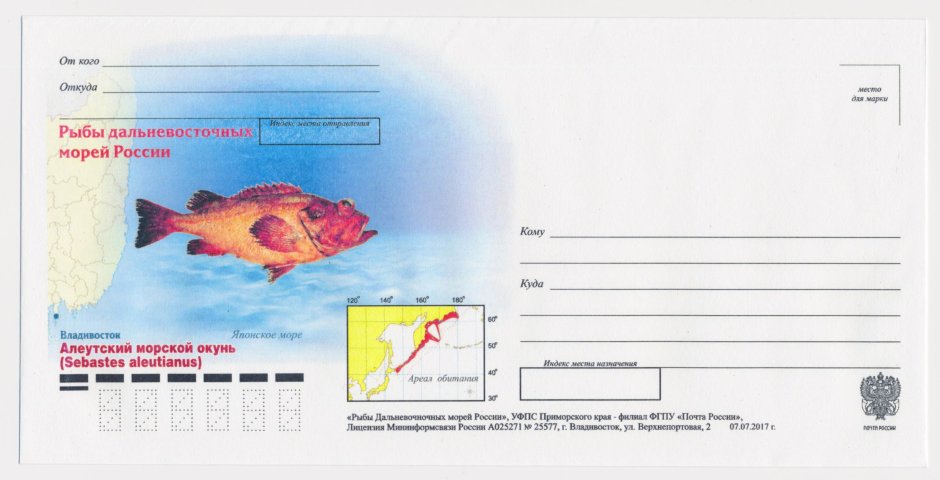 Окунь морской свежемороженый 150-300