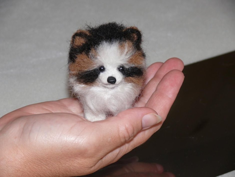 Японская собака карманная