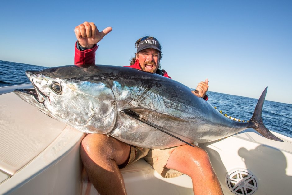 Тунец Bluefin