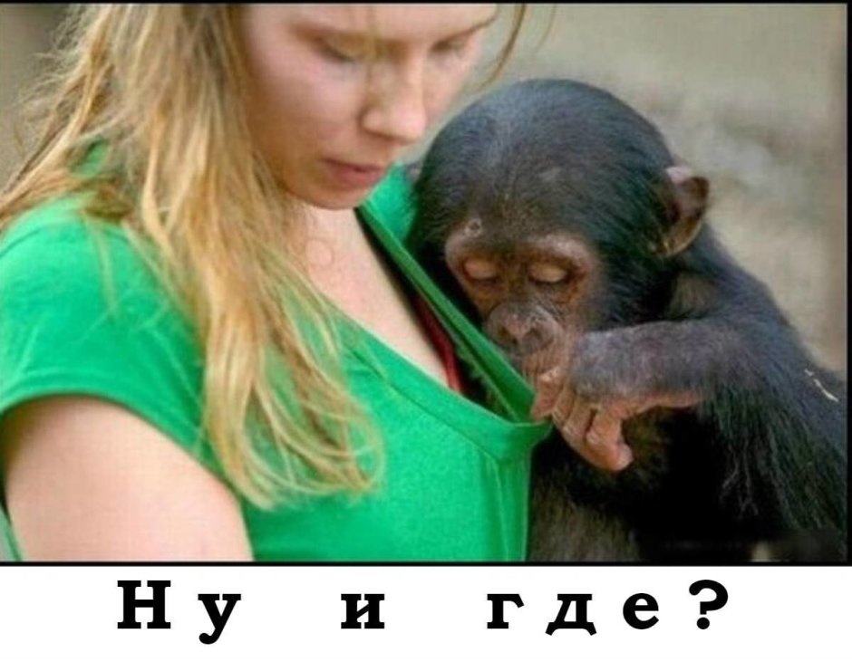 Девушка с обезьянкой
