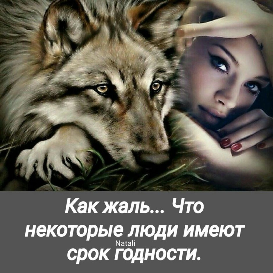Волчица и девушка