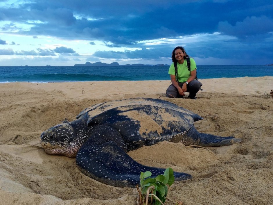 Бухта Абу Дабаб Египет