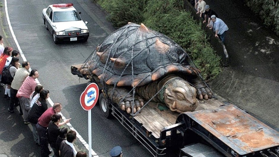 Кожистая морская черепаха