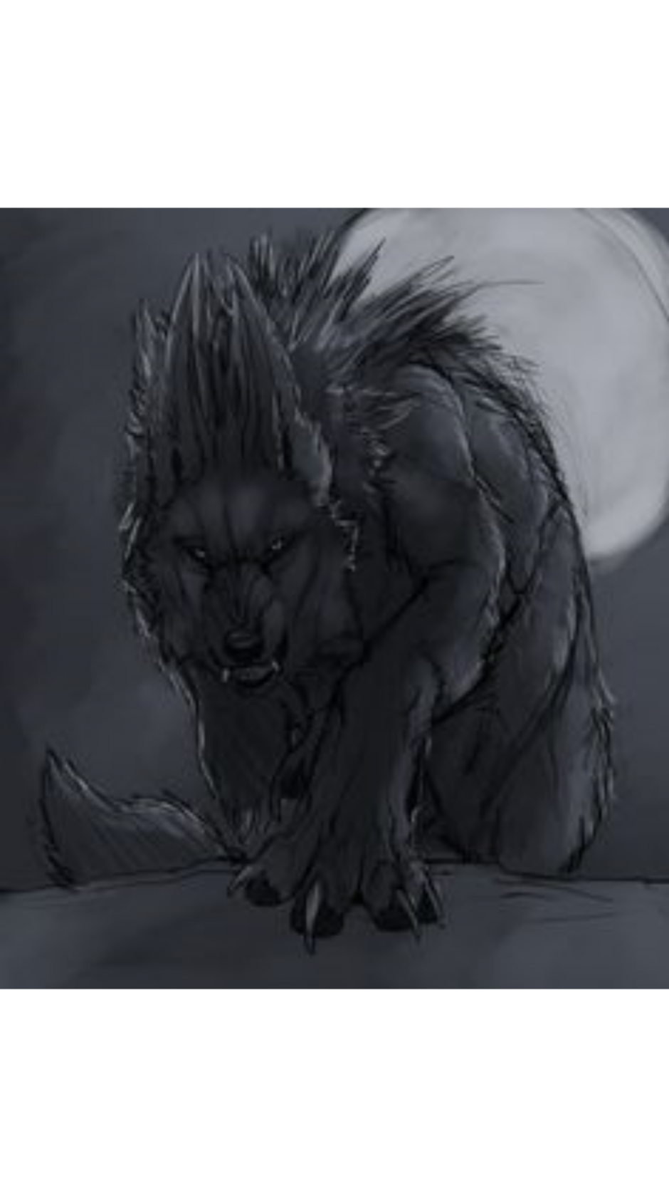 Волк Эстетика