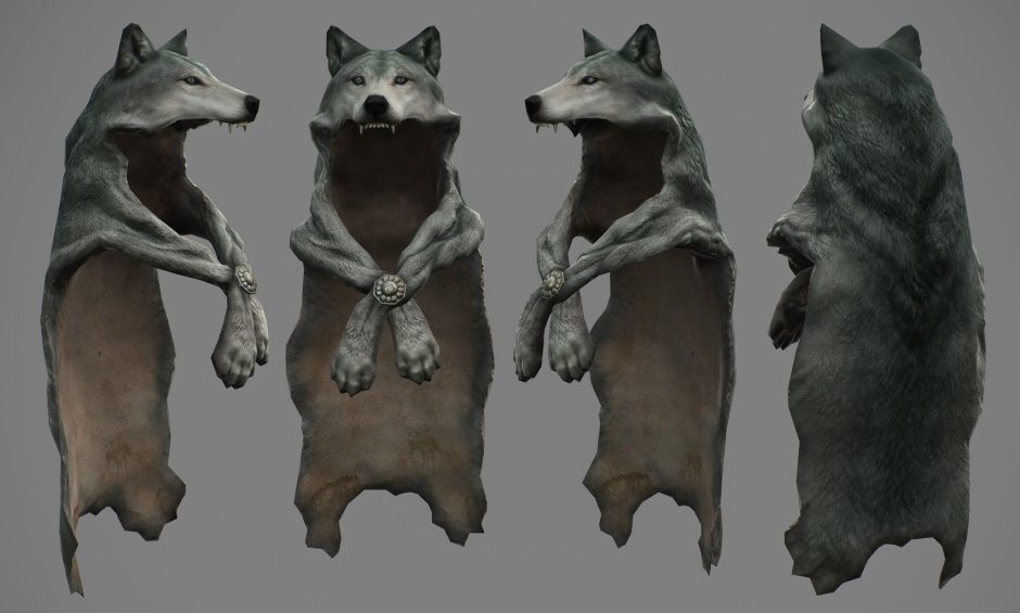 Canis simensis окрас