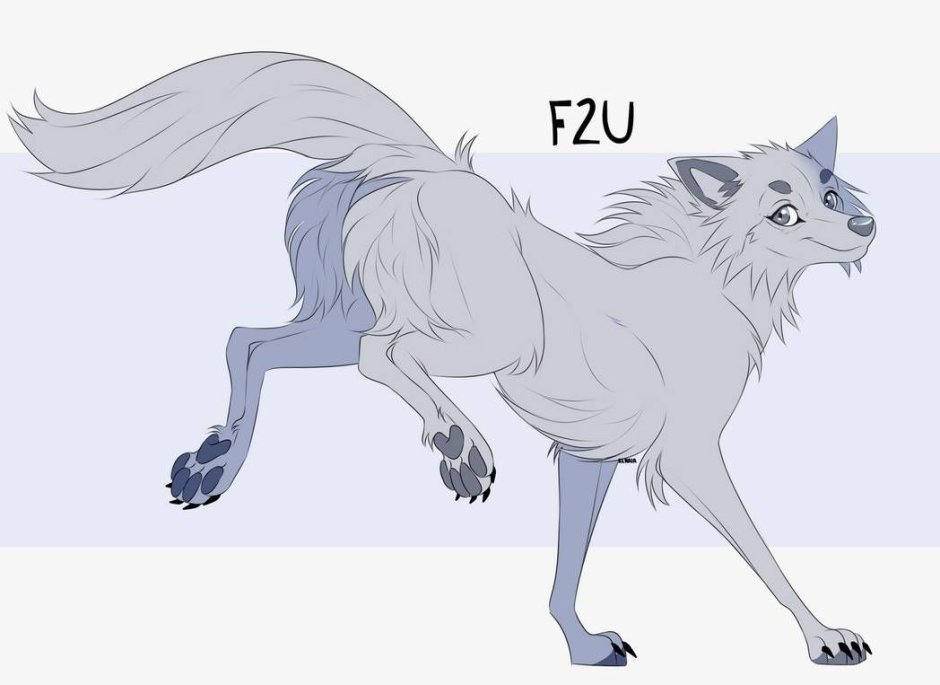 Волк окрасы реалистик референс