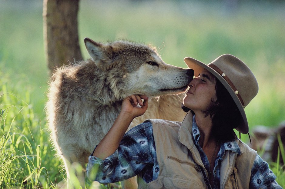 Волк и человек Дружба