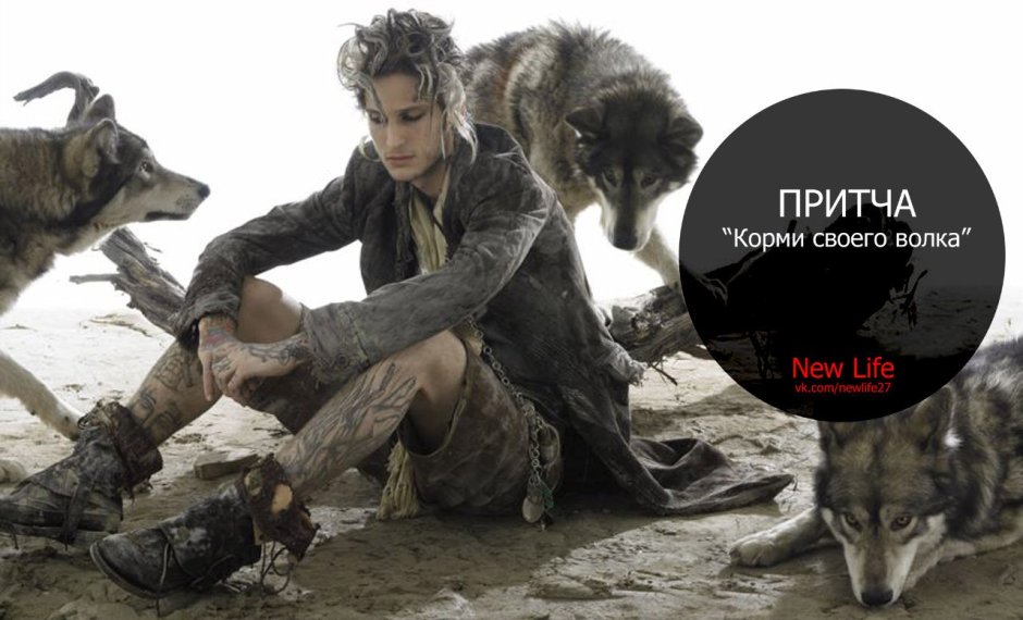 Алессио Альби волки