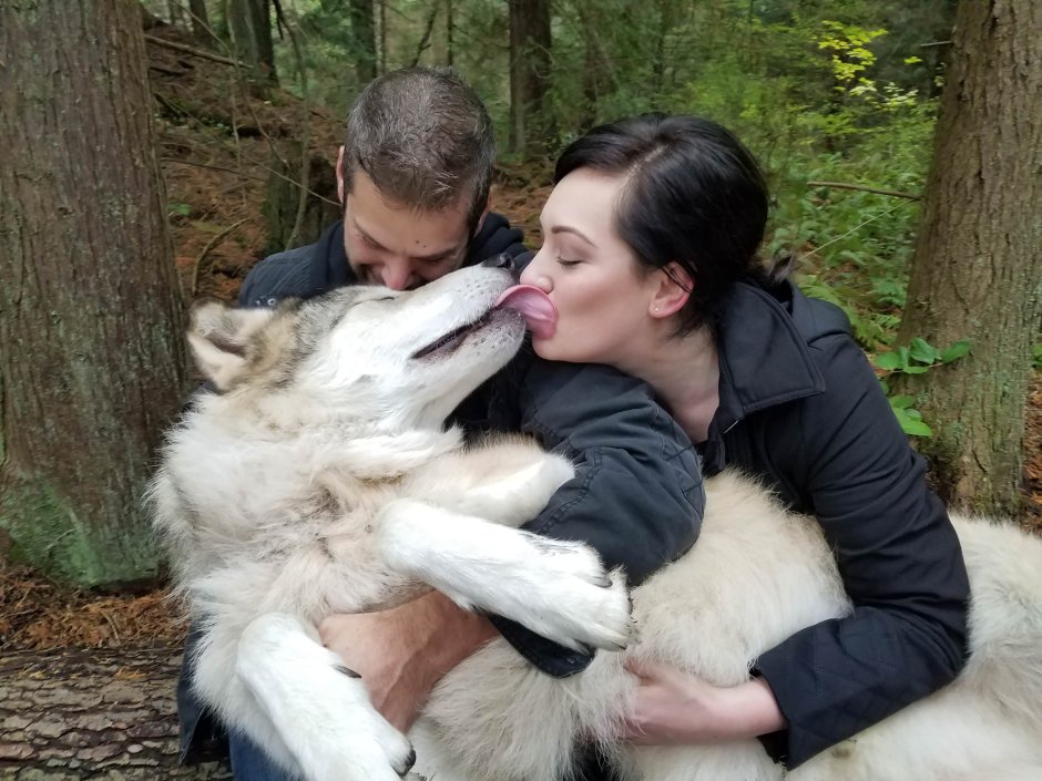 Wolf Human real Life