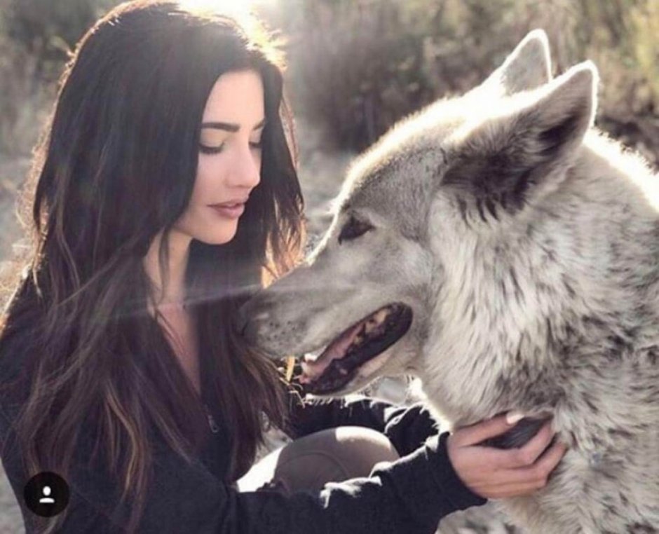 Волкособ Гулдан