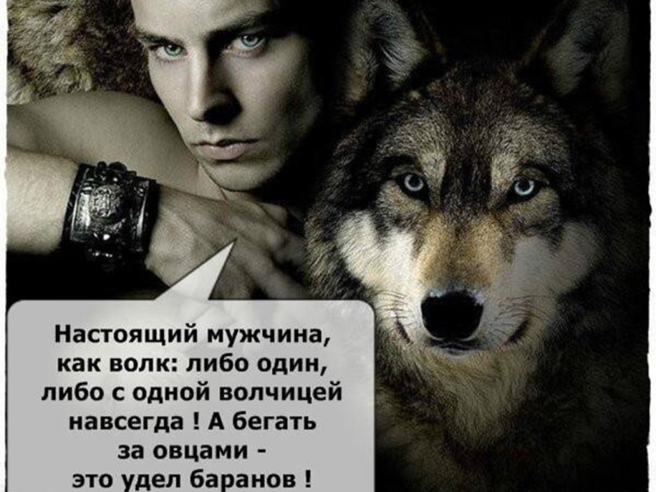 Девушка с волком