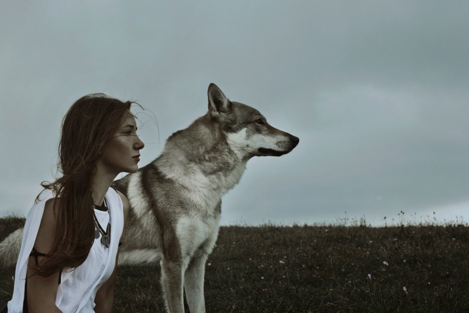 Человек и Лесные животные