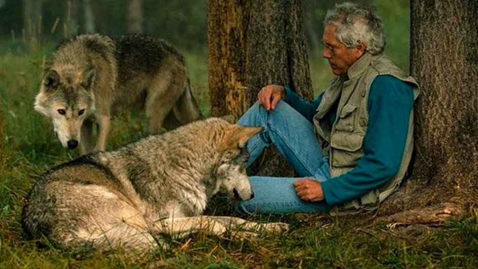 Крутые фотосессии с собаками