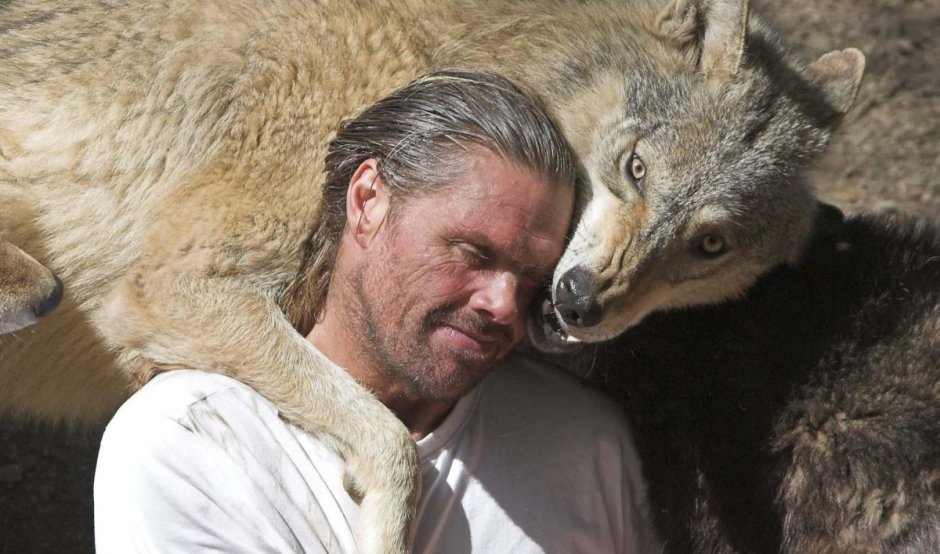 Девочка обнимает волка