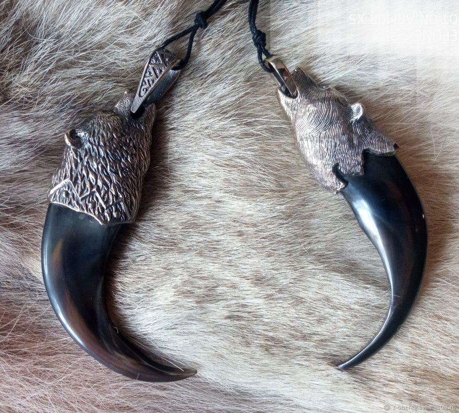 Когти медведя