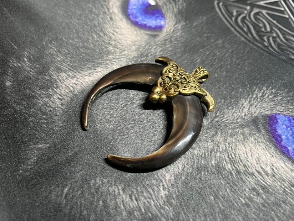 Поделки и сувениры из когтя медведя