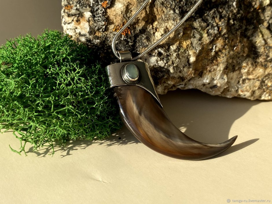 Медвежий коготь амулет