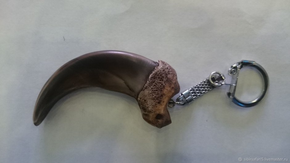 Шипы Медвежий коготь