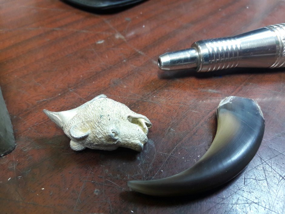 Шипы Медвежий коготь