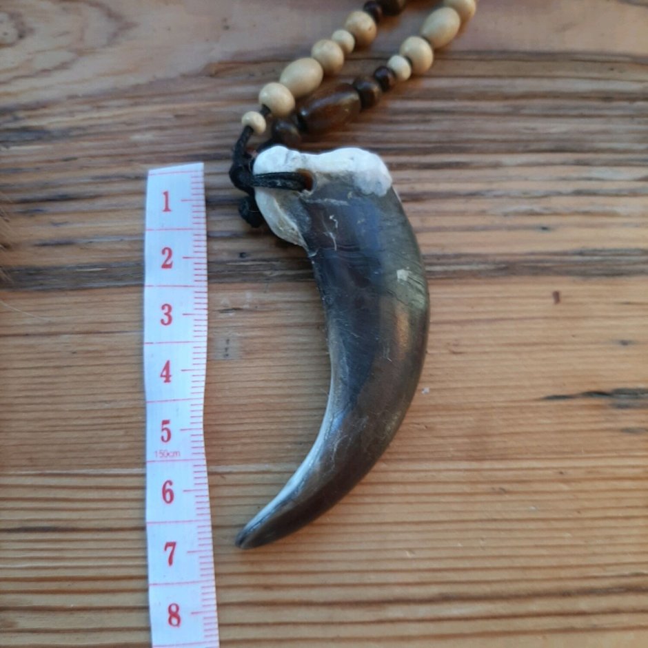 Коготь медведя бутафория