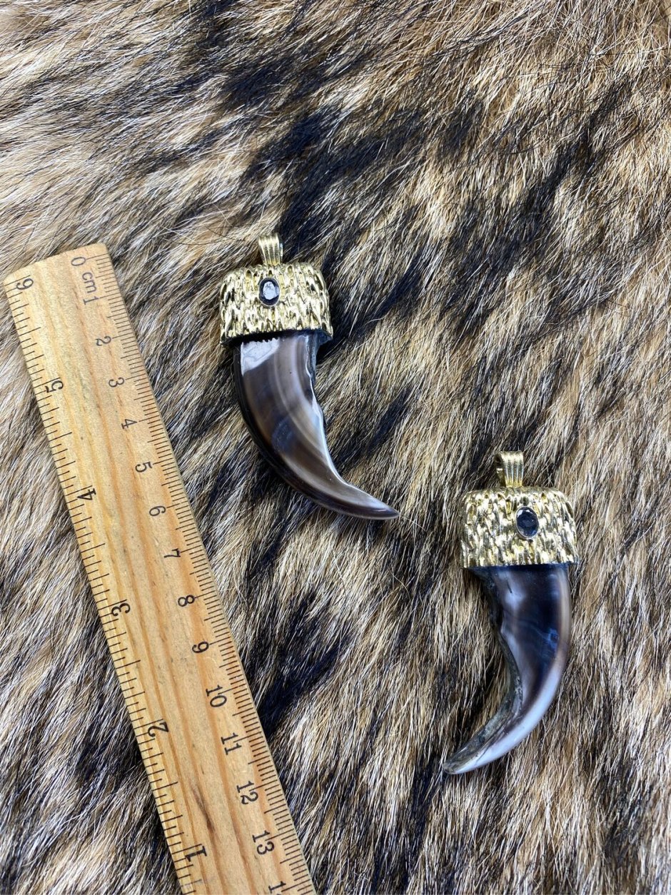 Клык медведя оберег