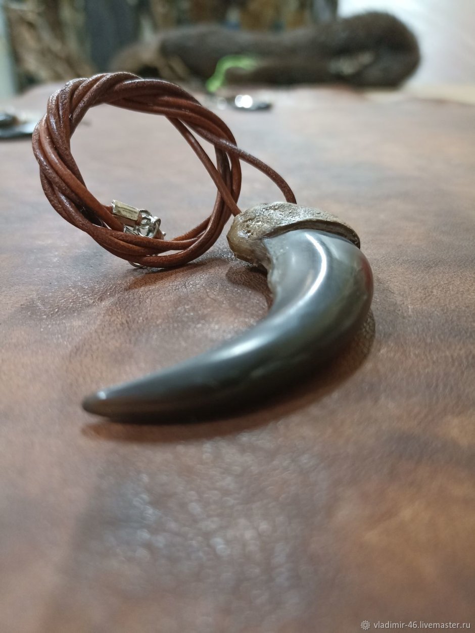 Украшения из когтя медведя