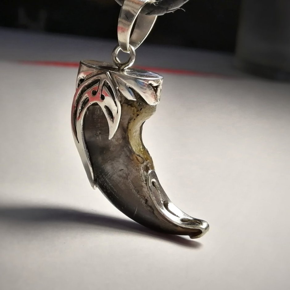 Медвежий коготь в серебре