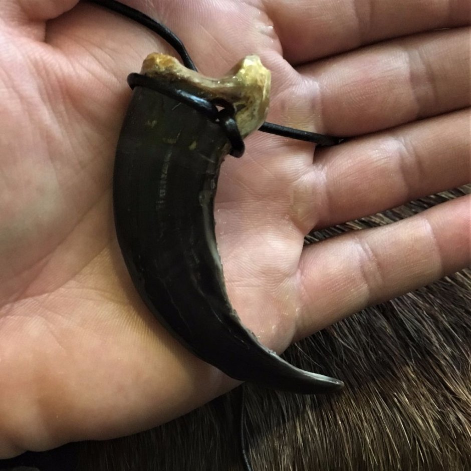 Ожерелье из когтей медведя Гризли