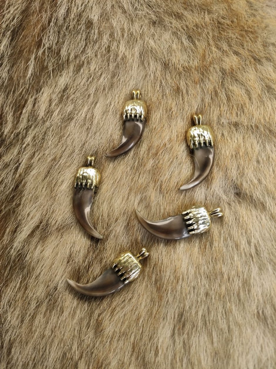 Медвежий коготь амулет