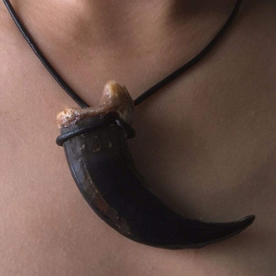 Амулет Медвежий клык