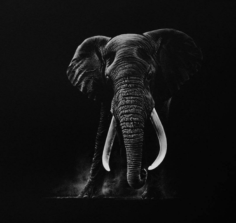 Richard Symonds Art слоны