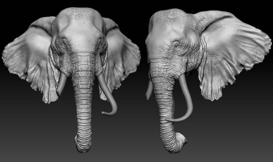 Голова слона