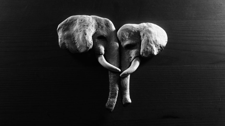 Слон на черном фоне