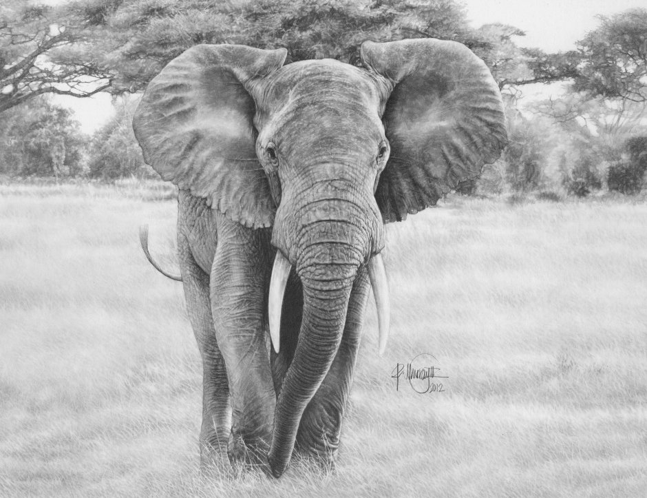 Реалистичный слон