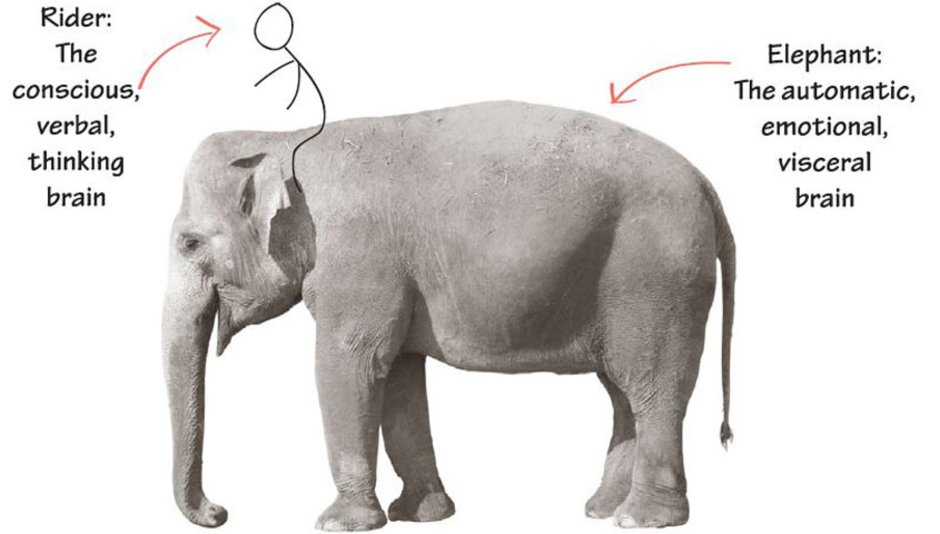 Погонщик на слоне