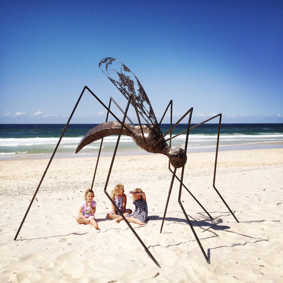 Стрекоза долгоножка