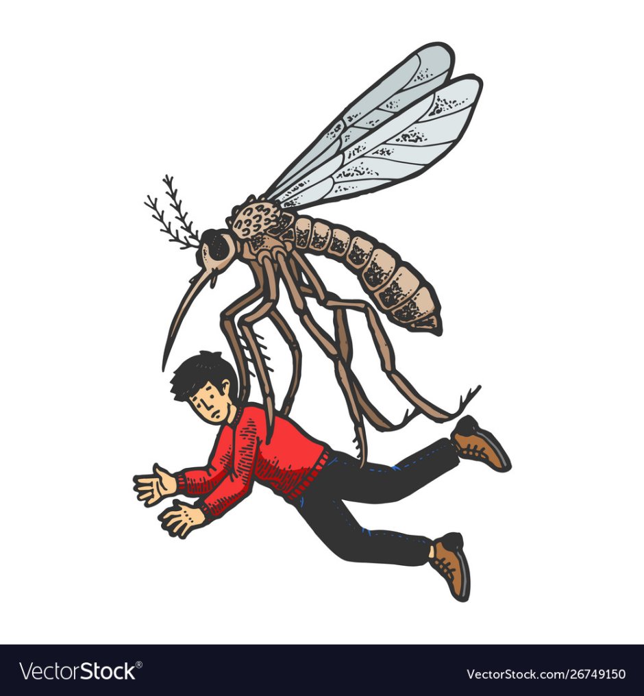 Самый большой комар долгоножка