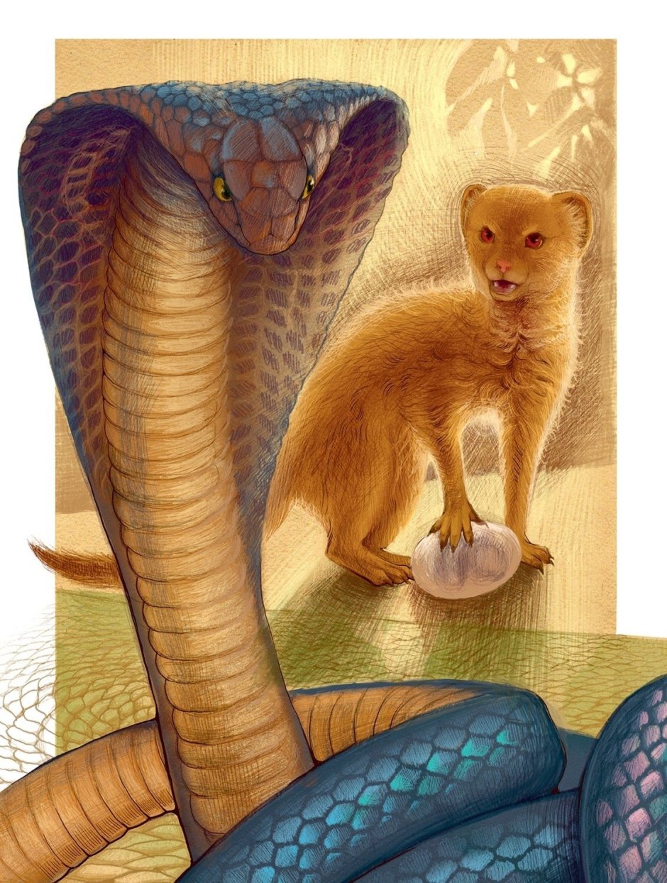 Королевская Кобра и Мангуст