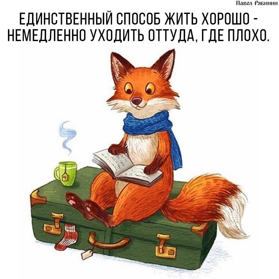 Лиса с книгой